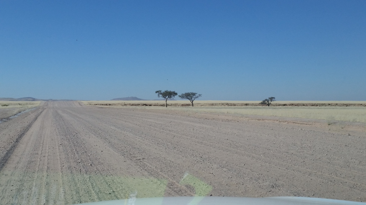 Namibia: C14 Richtung Namib Naukluft Park
