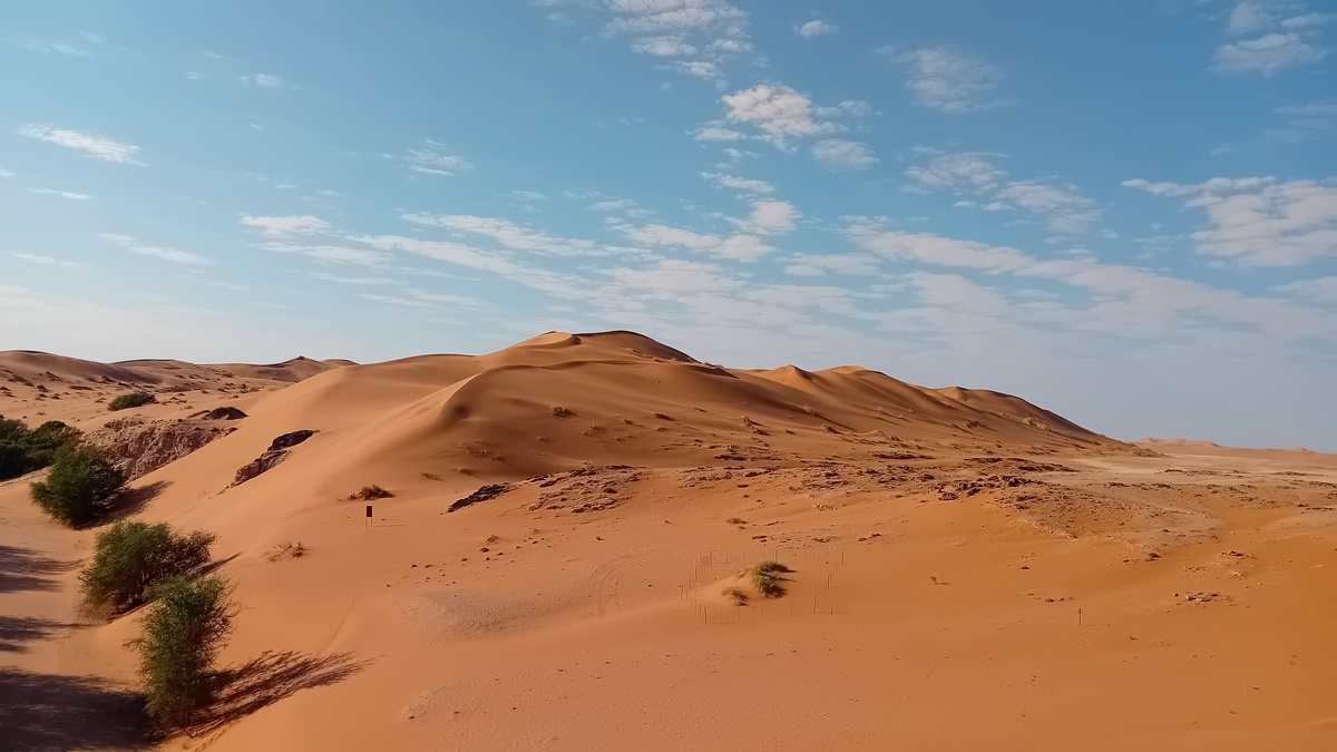 Namibia: Namib - Gobabeb (Wüsten-Forschungsstation)