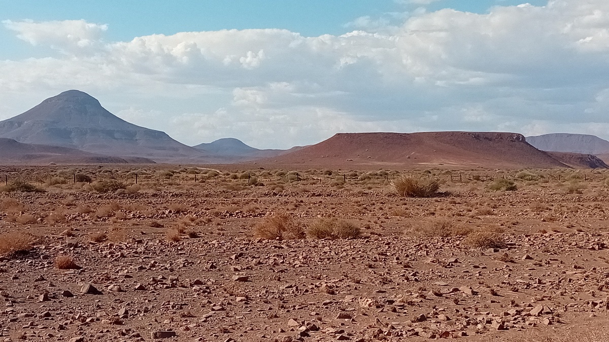 Namibia: Skeleton Coast - auf der C39 in Richtung Springbokwasser
