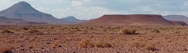 Namibia: Skeleton Coast - auf der C39 in Richtung Springbokwasser