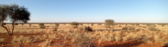 Namibia: Kalahari in 'Kuzikus'